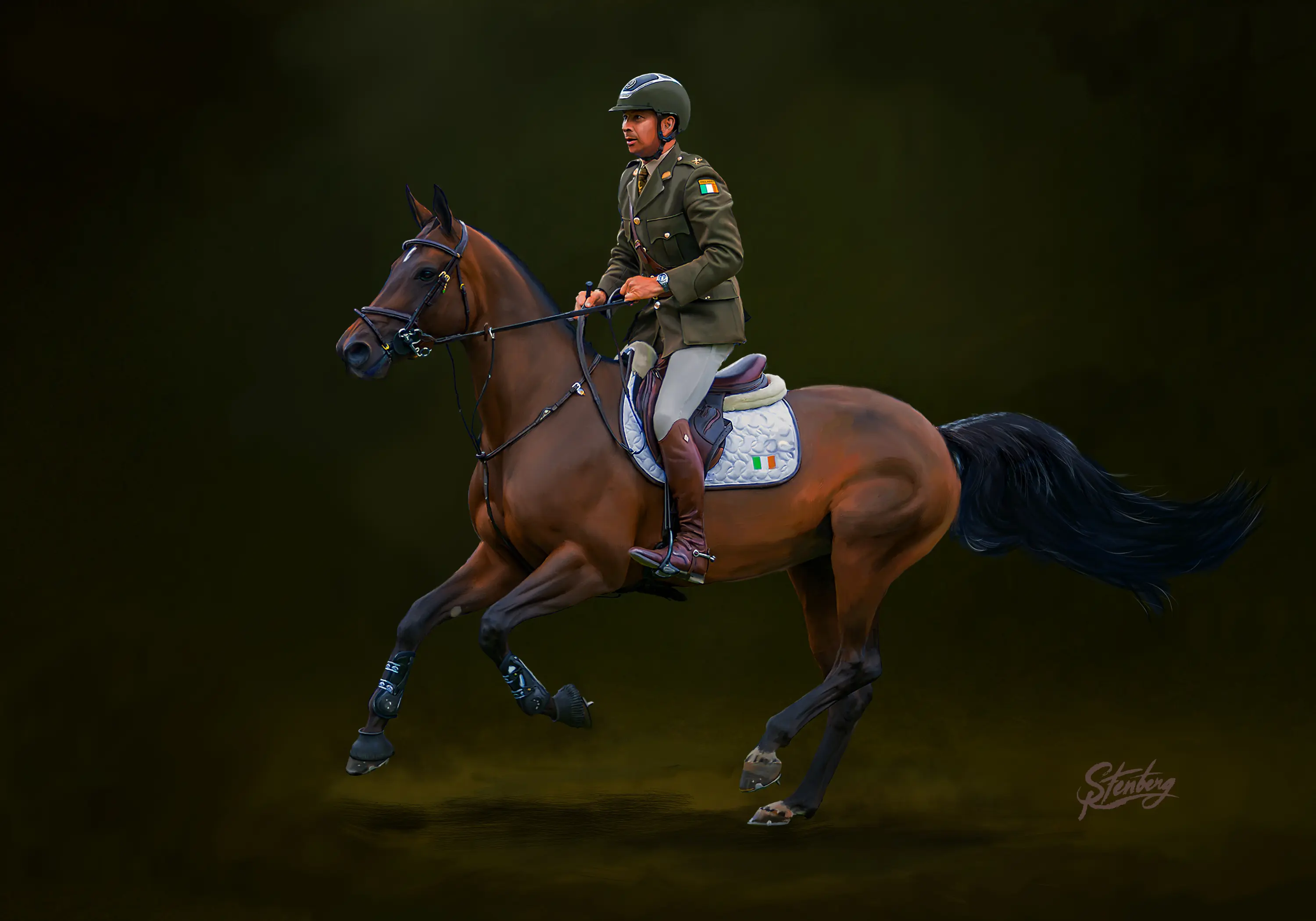 Alliance — Geoff Curran - Dublin Horse Show, 2025 — DHF Alliance, 2025