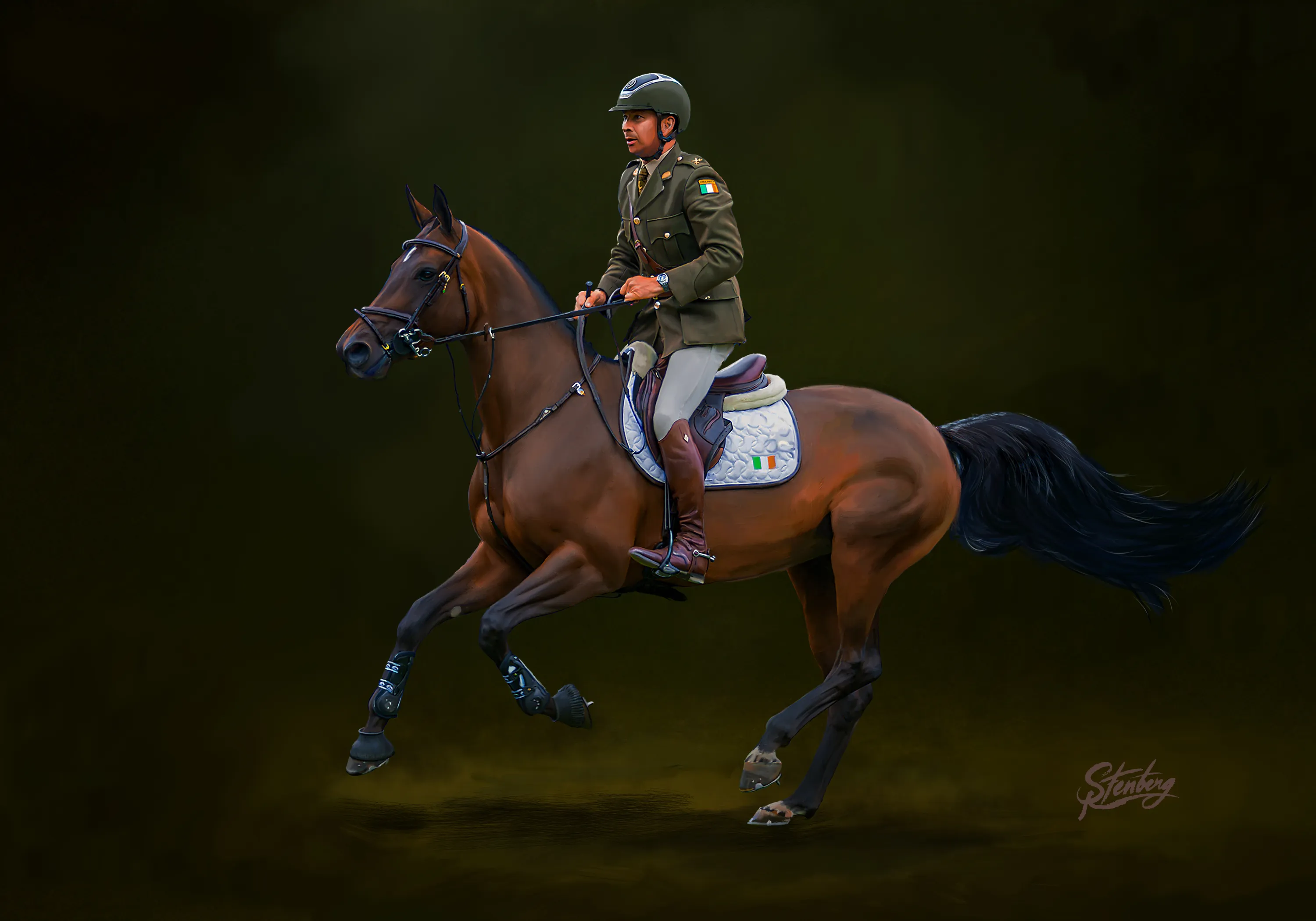 Alliance — Dublin Horse Show, 2025 — DHF Alliance, 2025